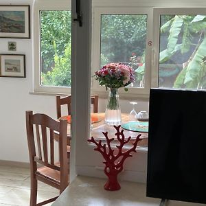 Villa Striano Capri - Guest House - Rooms Garden&Art